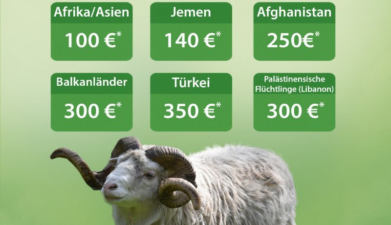 Kurban/Kurbani 2025